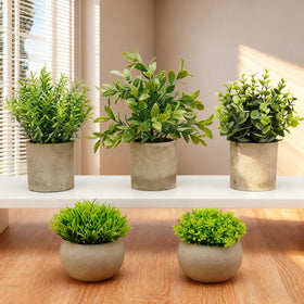 AUUGUU gift-ready artificial plant set for housewarmings and offices.