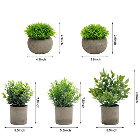 AUUGUU modern cement pot decor enhances any interior style.
