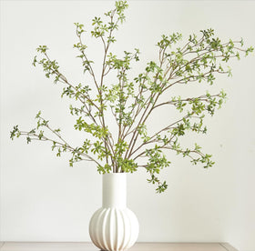 Avoeco Enkianthus Perulatus branch 47-inch for elegant centerpieces