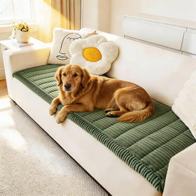 Awjcsv couch cover in dog-friendly fabric protecting sofa from scratches