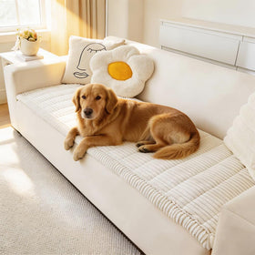 Awjcsv couch cover in white on a sofa protects furniture from paws and spills.
