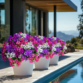 AXYLEX 14-inch tall faux pansies brighten decks without watering.