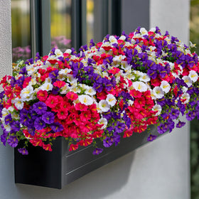 AXYLEX artificial flowers provide privacy while adding decorative greenery.