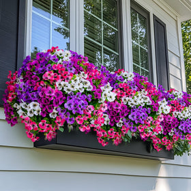 AXYLEX artificial greenery creates privacy on a sunny balcony.