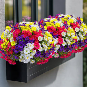 AXYLEX artificial greenery privacy screen enhances exterior privacy and aesthetics.