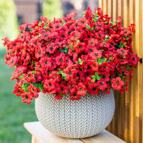 AXYLEX Thanksgiving mums inspired accents brighten outdoor areas