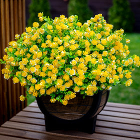 AXYLEX yellow boxwood shrub faux plant close-up for balcony privacy