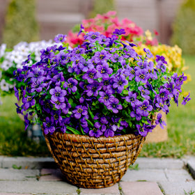 AXYLEX durable plastic flowers withstand weather and maintain shape.
