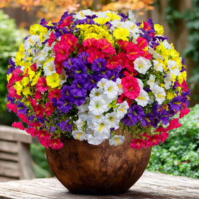 AXYLEX easy-care artificial flowers simplify outdoor styling and rotation.