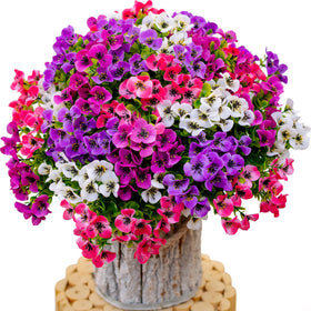 AXYLEX easy-care decor that stays bright year-round.