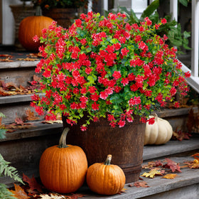 AXYLEX durable plastic leaves resist wind and weather.