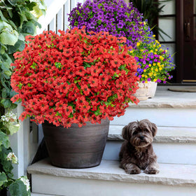 AXYLEX fall decor with farmhouse style for verandas and porches