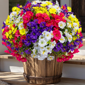 AXYLEX hardy outdoor bouquets withstand weather with lasting realism.