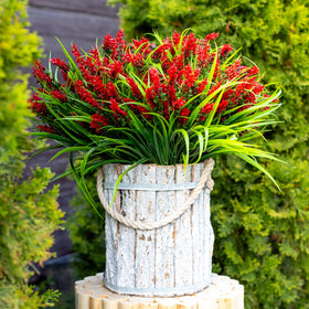 AXYLEX lavender decor bundles illuminate small spaces and enlarge perceived space.