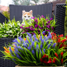 AXYLEX maintenance-free faux plants keep spaces lush with zero upkeep.