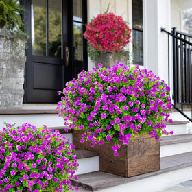 AXYLEX Mgenta UV-resistant outdoor flowers stay vibrant in sunlight.