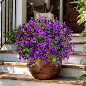 AXYLEX no-fade artificial greenery designed for outdoor use in sunlit spaces.
