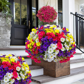 AXYLEX no-fade outdoor plants maintain lush green color year-round.