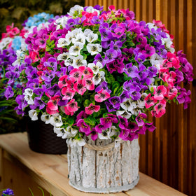 AXYLEX no-fuss outdoor flowers for quick, tidy setups.