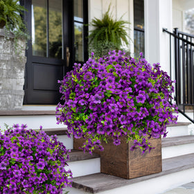 AXYLEX UV-resistant faux plants stay vibrant in sunlit garden or balcony.