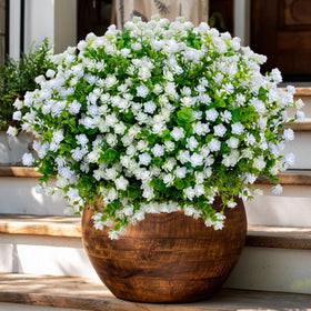 AXYLEX outdoor artificial flowers in white bundles brighten porches without maintenance
