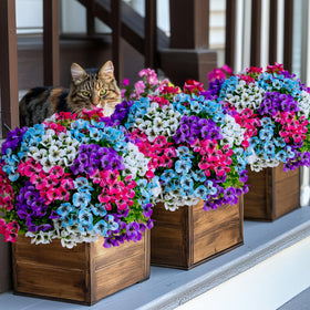 AXYLEX outdoor greenery decor enhances porch and garden ambiance