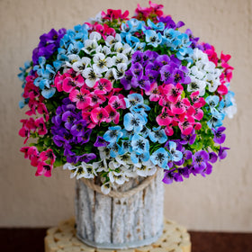 AXYLEX outdoor pansies 16 bundles brighten porches with maintenance-free color