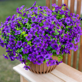 AXYLEX complete weekend decor upgrade with long-lasting color and texture.