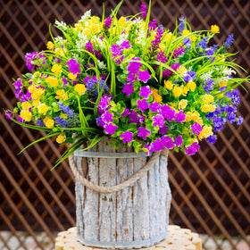 AXYLEX pots not included to fit your containers
