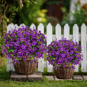 AXYLEX artificial greenery for indoor or outdoor decor enhances ambiance.