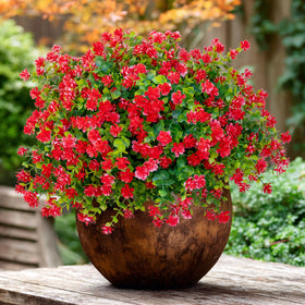 AXYLEX safety-material faux greenery is poisonless for outdoor displays.
