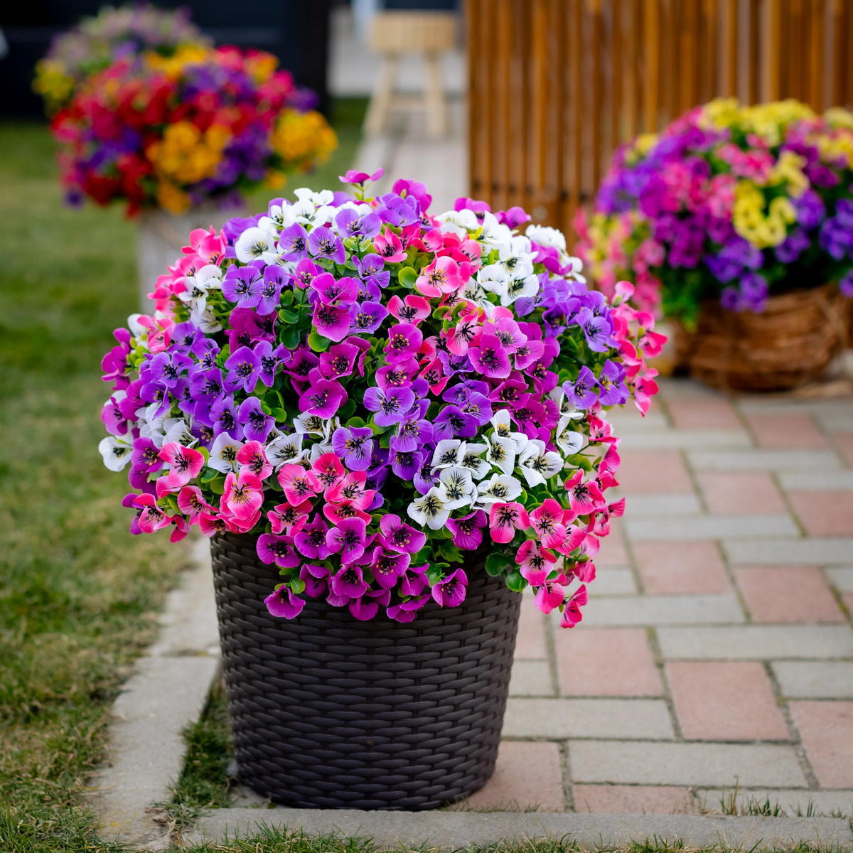 AXYLEX satisfaction-guaranteed outdoor greenery for confident shopping.