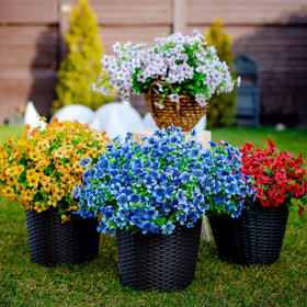 AXYLEX UV-resistant outdoor plants stay vibrant in sun.