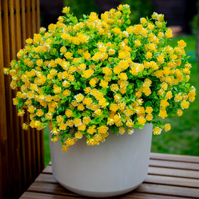 AXYLEX yellow artificial plants adding color and warmth to visuals