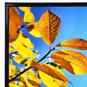 Close-up of Aynoo black frame narrow edge design.