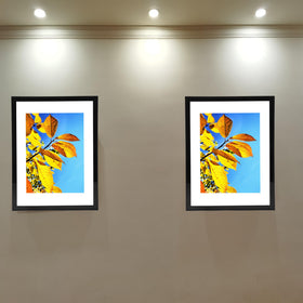 Aynoo plexiglass provides clear viewing and protection.