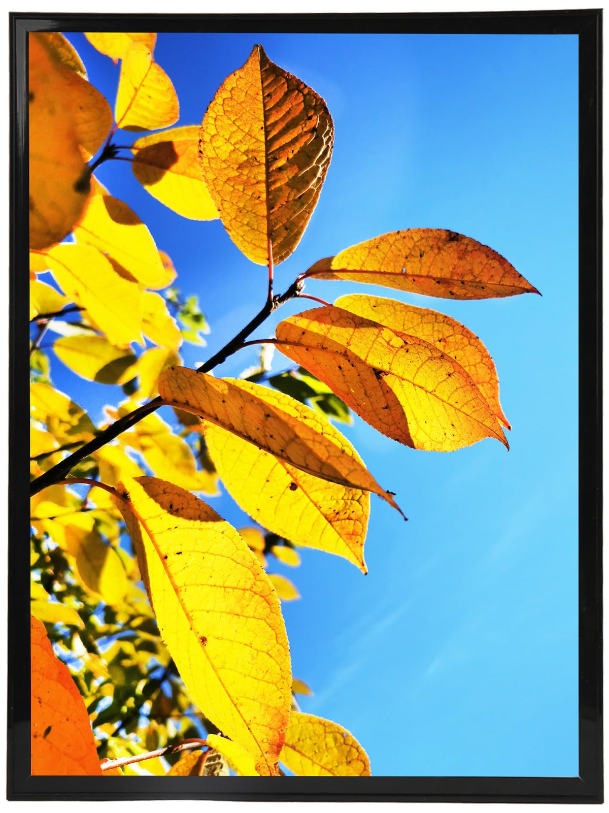 Aynoo 20x30 poster frame front view with crisp display.