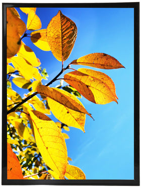 Aynoo 20x30 poster frame front view with crisp display.