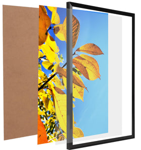Backyard collage-ready Aynoo frame setup on wall.