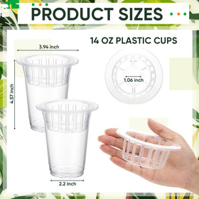 Baderke clear plastic vase showing roots and water level at a glance