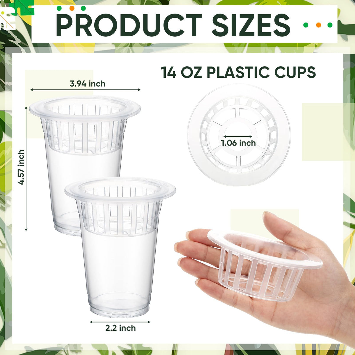 Baderke clear plastic vase showing roots and water level at a glance