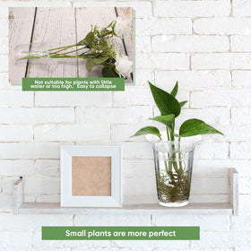 Baderke hydroponic basket with holes supports root growth and easy plant placement