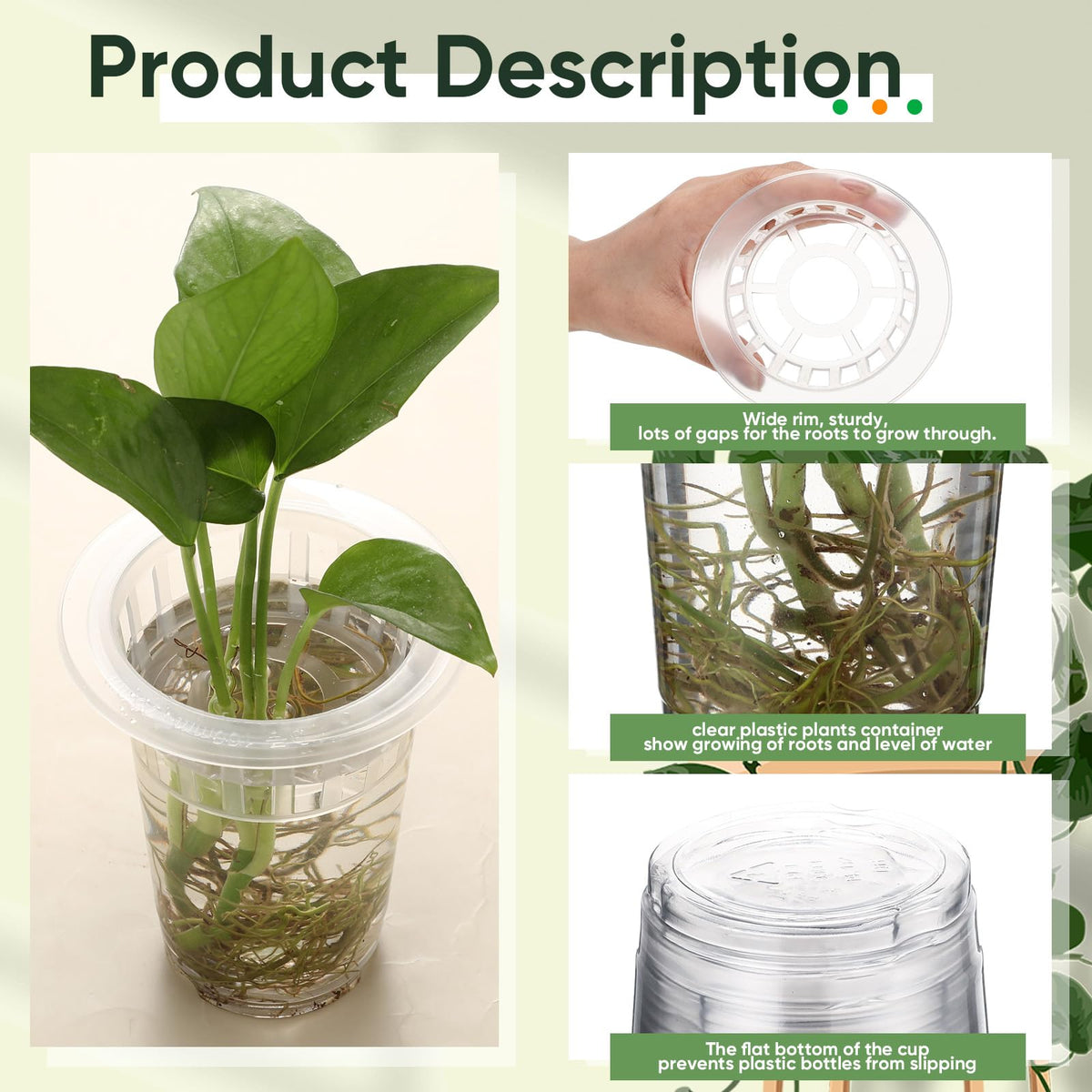 Baderke office desk decor featuring a compact indoor greenery display