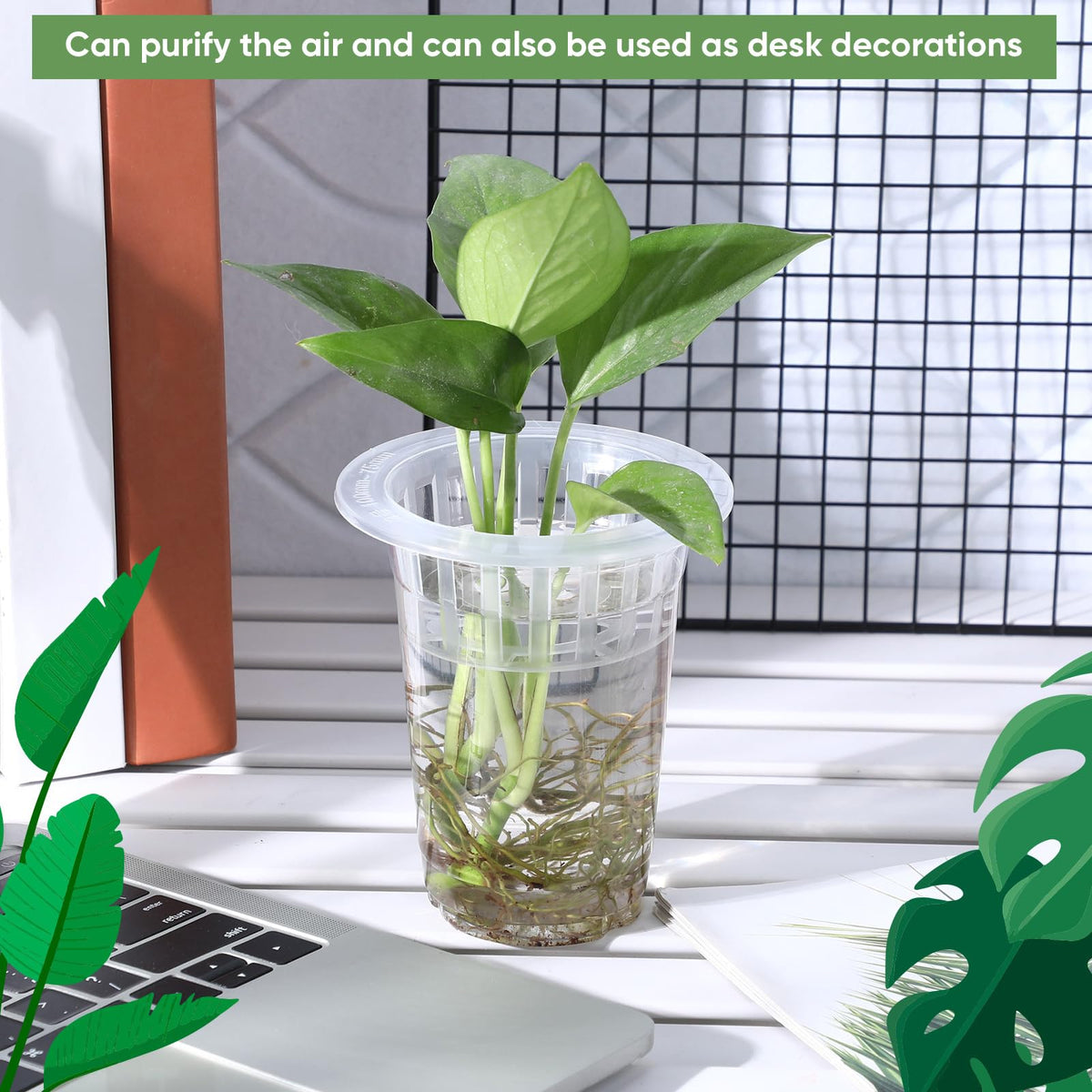Baderke PET plastic material offers durability and clarity for propagation