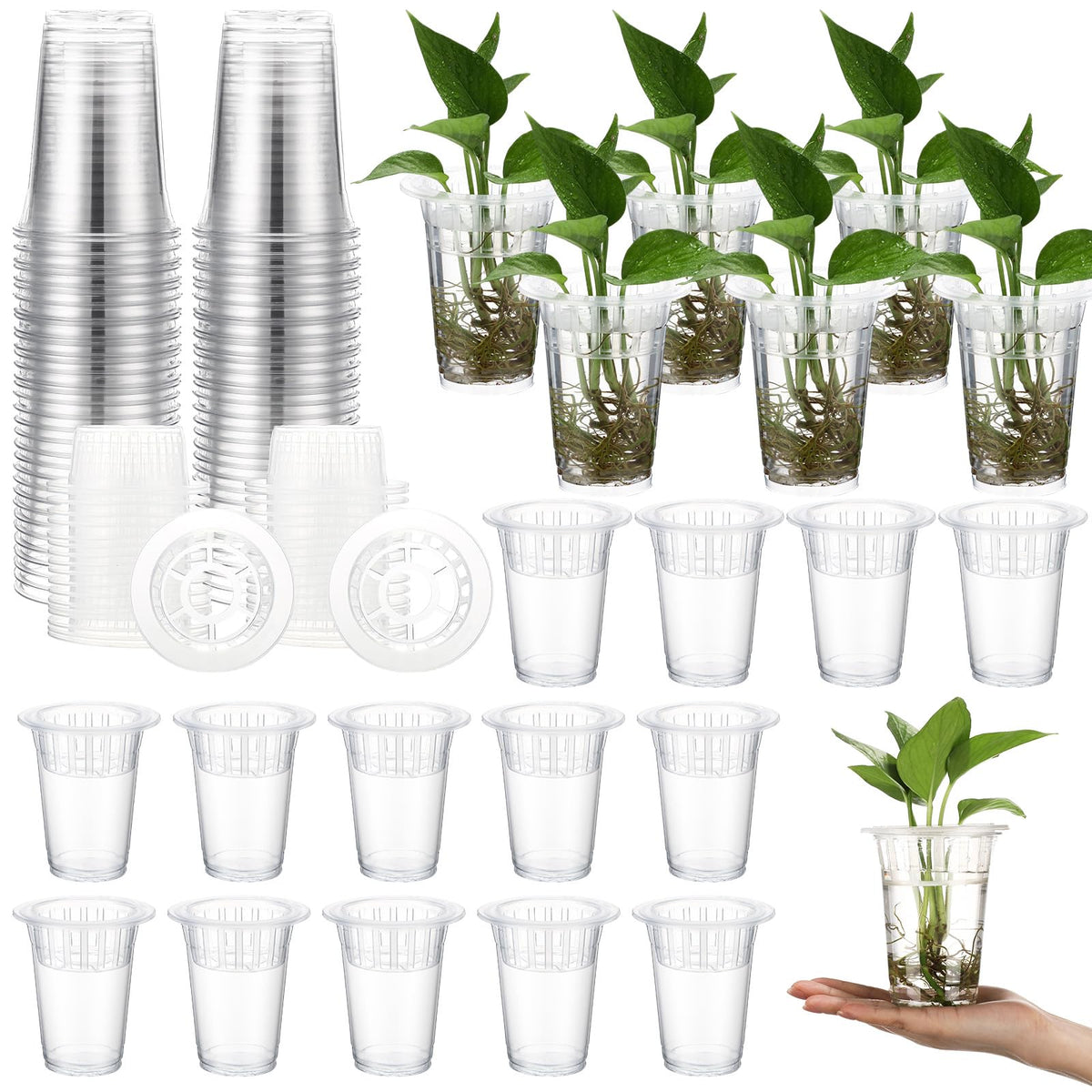 Baderke propagation station 14oz vase set for home greenery and root observation