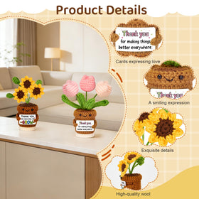Bafeil heart crochet potted plant conveys warmth as decor.
