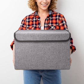 Bagnizer bin on a shelf helps declutter living spaces