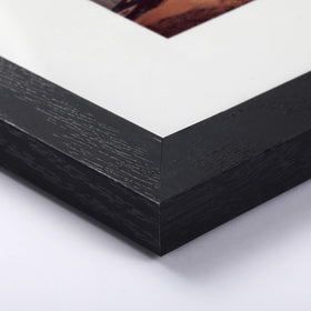 BAIJIALI plexiglass front provides crystal-clear visibility and durability.