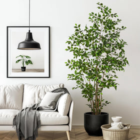 Bailikang artificial ficus tree 7ft full view adds evergreen elegance to any space