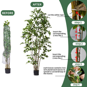 Bailikang gift-ready artificial ficus tree ships in stylish packaging